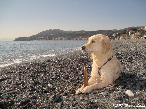 UNA GIORNATA A COGOLETO